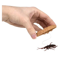 Load image into Gallery viewer, Nikki's Knick Knacks Prank Cookie with Cockroach Surprise