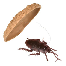 Load image into Gallery viewer, Nikki's Knick Knacks Prank Cookie with Cockroach Surprise