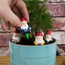 Load image into Gallery viewer, Set of 4 Mini Garden Gnome Stakes - Cute Indoor Plant Decor