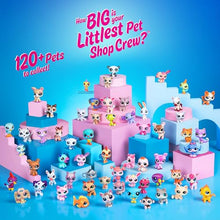 Load image into Gallery viewer, Littlest Pet Shop Advent Calendar