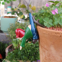 Load image into Gallery viewer, JARPSIRY Naughty Hanging Pants Garden Gnome – Flower Pot & Fence Hugger Statue
