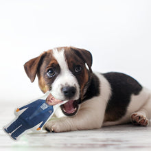 Load image into Gallery viewer, Elon Musk Voodoo Pin Cushion Doll