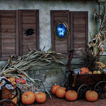 Load image into Gallery viewer, Motion-Activated Haunted Skull Mirror with Lights and Sounds
