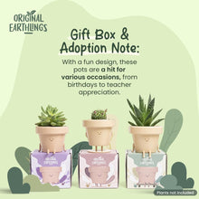Load image into Gallery viewer, Adoption-Themed Succulent Planter