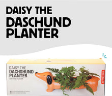 Load image into Gallery viewer, Daisy the Dachshund Porcelain Planter