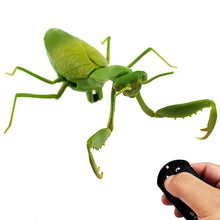 Load image into Gallery viewer, RC Praying Mantis Toy - Gifteee Unique & Unusual gifts, Cool gift ideas