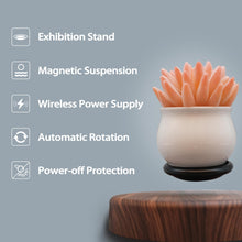 Load image into Gallery viewer, Magnetic Levitating Heart Bulb Lamp with Tray