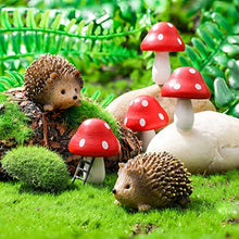 Load image into Gallery viewer, Queekay 6-Piece Hedgehog & Red Mushroom Set – Resin & Wood Fairy Garden Miniatures