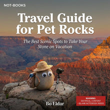 Load image into Gallery viewer, Not-Books: Travel Guide for Pet Rocks - Prank Notebook