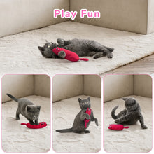 Load image into Gallery viewer, Bite Resistant Catnip Toy for Cats - Gifteee Unique & Unusual gifts, Cool gift ideas