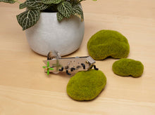 Load image into Gallery viewer, Windup Bonga Mechanical Desk Toy