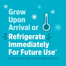 Load image into Gallery viewer, Back to the Roots Shiitake Mushroom Grow Kit