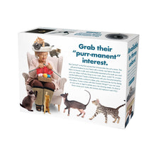 Load image into Gallery viewer, Cat Hat Prank Gift Box – Empty Fake Packaging