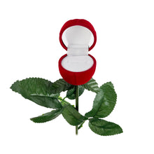 Load image into Gallery viewer, Long-Stem Red Rose Jewelry Box – Ring or Earring Case