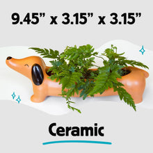 Load image into Gallery viewer, Daisy the Dachshund Porcelain Planter
