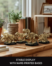 Load image into Gallery viewer, Mini Dinosaur Fossil Building Kit – 4-Pack Desk Models