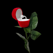 Load image into Gallery viewer, Long-Stem Red Rose Jewelry Box – Ring or Earring Case