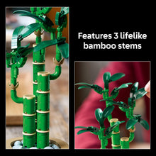 Load image into Gallery viewer, LEGO Botanicals Lucky Bamboo Building Set