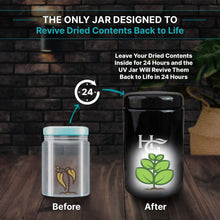 Load image into Gallery viewer, Herb Guard - Keeps Herbs Fresh for Months - Gifteee Unique & Unusual gifts, Cool gift ideas