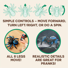 Load image into Gallery viewer, Remote Control Spider Toy - Gifteee Unique & Unusual gifts, Cool gift ideas