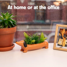 Load image into Gallery viewer, Daisy the Dachshund Porcelain Planter