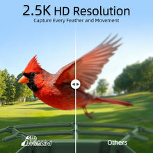 Load image into Gallery viewer, Smart Bird Feeder with HD Camera & Solar Panel | AI Species Recognition