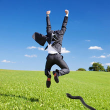 Load image into Gallery viewer, Fake Snake Prank Set