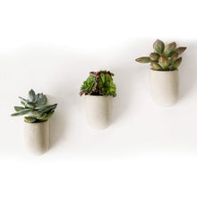 Load image into Gallery viewer, Magnetic Concrete Planters Set