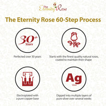 Load image into Gallery viewer, Silver-Dipped Real Rose – Anniversary Gift