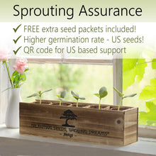 Load image into Gallery viewer, AVERGO Bonsai Tree Starter Kit