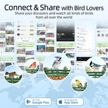 Load image into Gallery viewer, Smart Bird Feeder with HD Camera & Solar Panel | AI Species Recognition