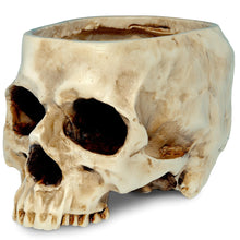 Load image into Gallery viewer, Skull-Shaped Resin Planter or Candy Bowl - Gothic Home Decor