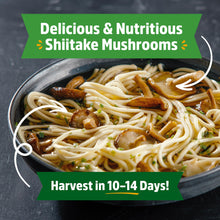 Load image into Gallery viewer, Back to the Roots Shiitake Mushroom Grow Kit