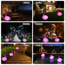 Load image into Gallery viewer, Solar Flamingo Floating Pool Lights – Color-Changing Decor