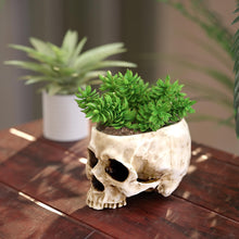 Load image into Gallery viewer, Skull-Shaped Resin Planter or Candy Bowl - Gothic Home Decor