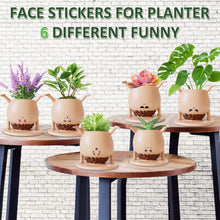 Load image into Gallery viewer, Playful Upside-Down Planter