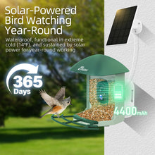 Load image into Gallery viewer, Smart Bird Feeder with HD Camera & Solar Panel | AI Species Recognition