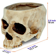 Load image into Gallery viewer, Skull-Shaped Resin Planter or Candy Bowl - Gothic Home Decor