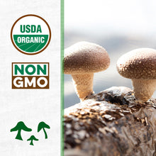 Load image into Gallery viewer, Back to the Roots Shiitake Mushroom Grow Kit