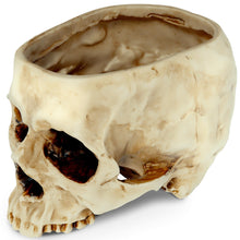 Load image into Gallery viewer, Skull-Shaped Resin Planter or Candy Bowl - Gothic Home Decor