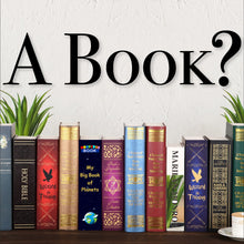 Load image into Gallery viewer, Hidden Book Safe