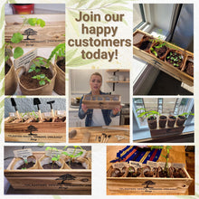 Load image into Gallery viewer, AVERGO Bonsai Tree Starter Kit