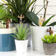 Load image into Gallery viewer, Set of 4 Plant Pot Hunks - Fun Decorations for Indoor Plants