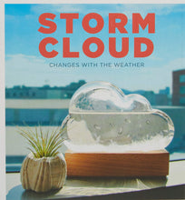 Load image into Gallery viewer, Storm Cloud Weather Predictor – Decorative Barometer
