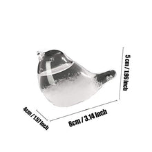 Load image into Gallery viewer, Storm Glass Weather Forecaster - Gifteee Unique & Unusual gifts, Cool gift ideas