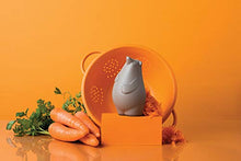 Load image into Gallery viewer, BARRY the Grater Stainless Steel Grater - Gifteee Unique & Unusual gifts, Cool gift ideas