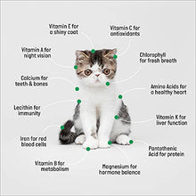 Load image into Gallery viewer, Cat Grass Kit (Organic) - Gifteee Unique & Unusual gifts, Cool gift ideas