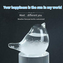 Load image into Gallery viewer, Storm Glass Weather Forecaster - Gifteee Unique & Unusual gifts, Cool gift ideas