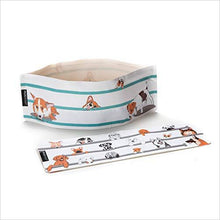 Load image into Gallery viewer, Portable & Collapsible Dog Bowl Set - Gifteee Unique & Unusual gifts, Cool gift ideas