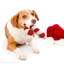 Load image into Gallery viewer, Squeaky Christmas Toys - Gifteee Unique & Unusual gifts, Cool gift ideas